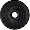 Ekena Millwork Palmetto Ceiling Medallion (Fits Canopies up to 5"), 20 7/8"OD x 3 5/8"ID x 1 5/8"P, Steel Gray CM20PMSGS - alternate 1